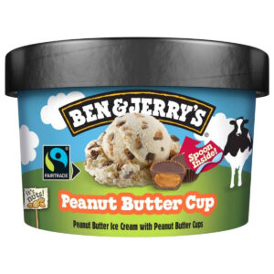 Ben & Jerry's Peanut Butter Cup 100ml